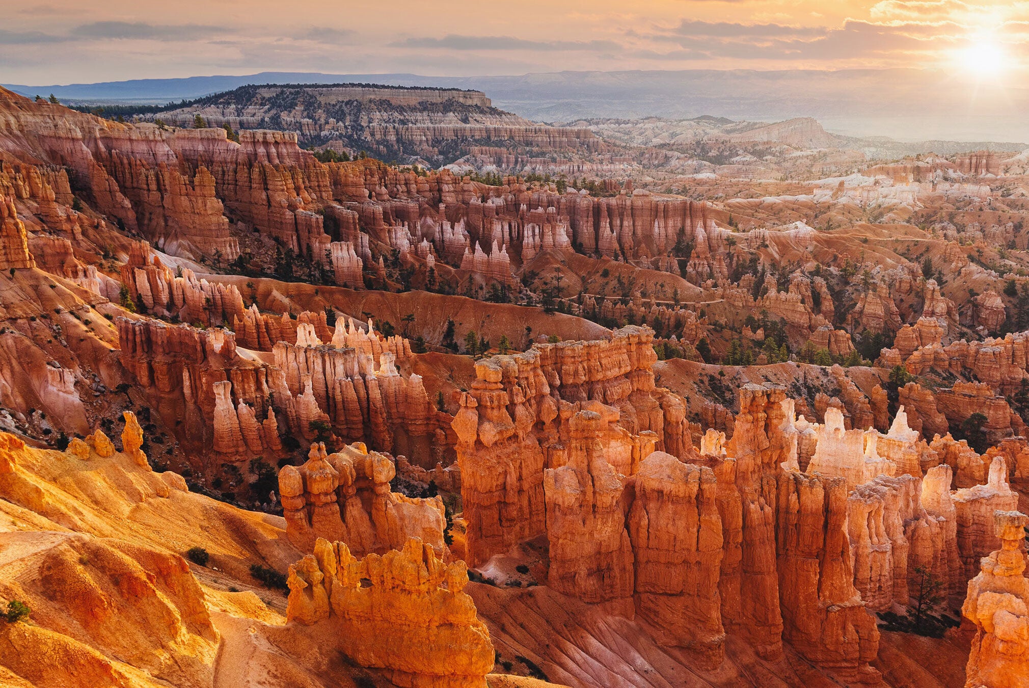 Bryce Canyon Overlooks: Find Your Perfect View from Hoodoos to Heights